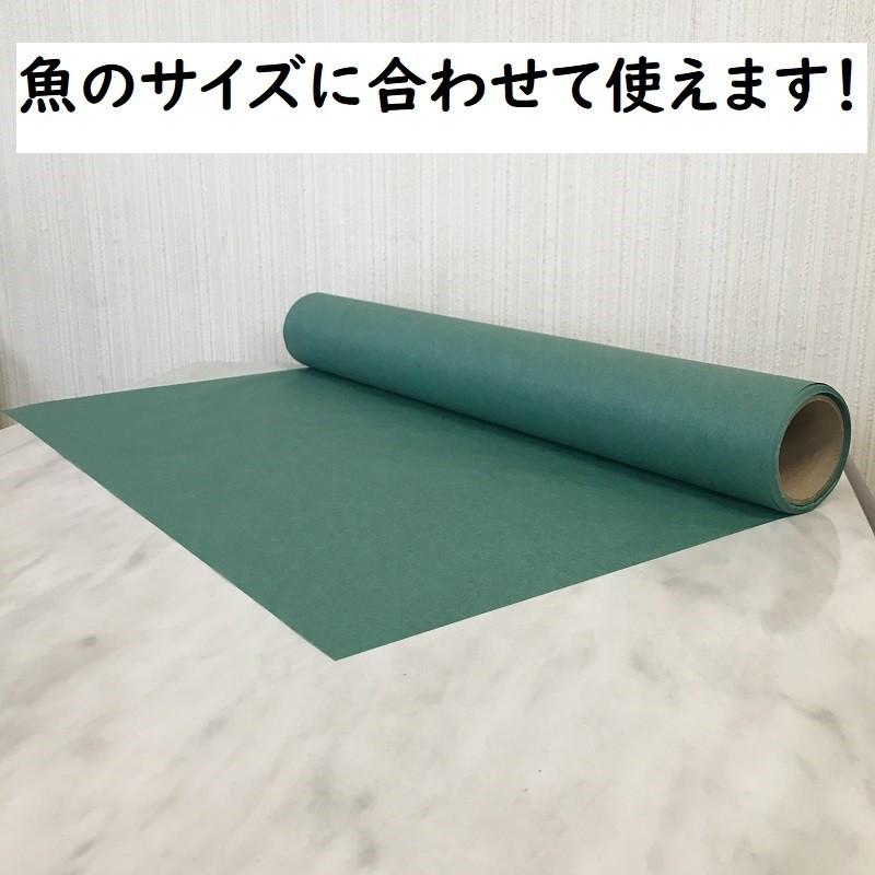 おさかなパックン　グリーンパーチ ロール 50m 耐湿紙 熟成 耐水紙　 |  | 03