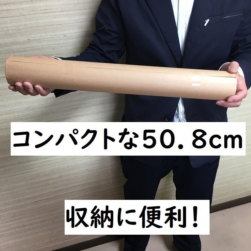 おさかなパックン　グリーンパーチ ロール 50m 耐湿紙 熟成 耐水紙　 |  | 04