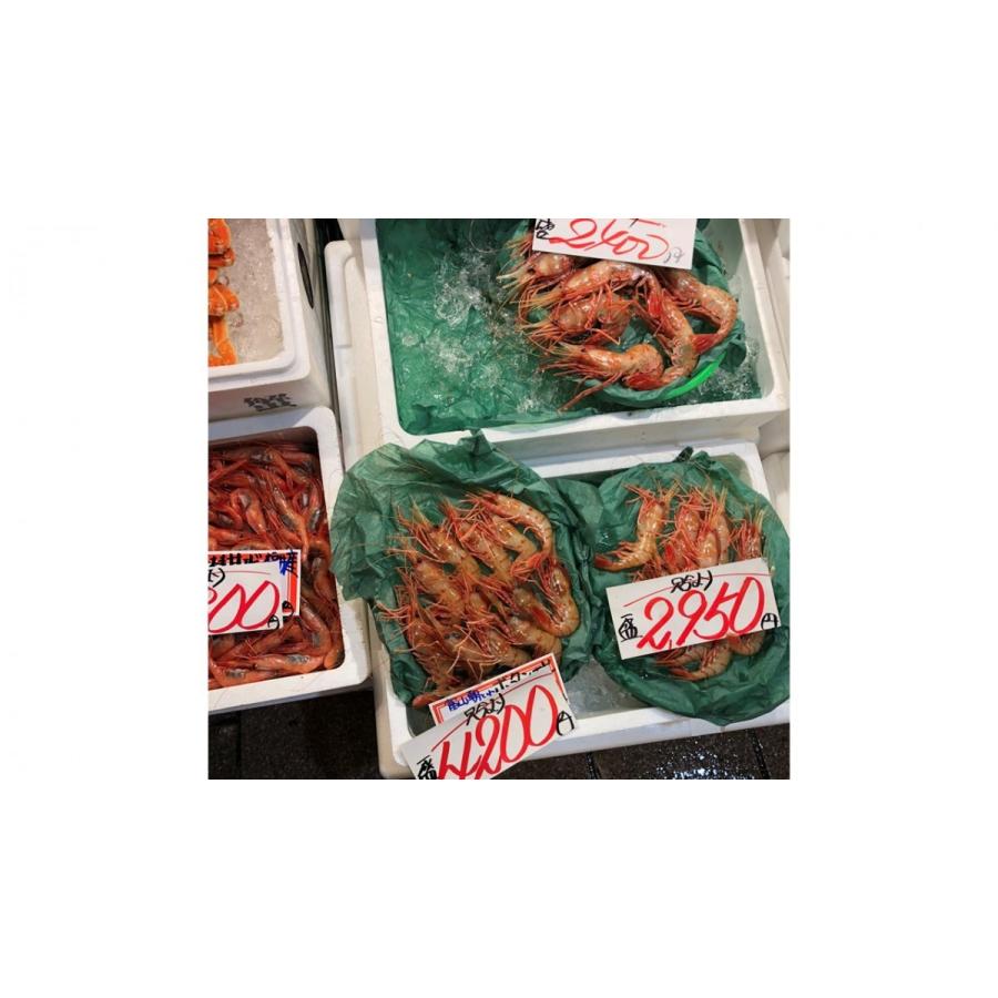 グリーンパーチ 半切 500枚 耐水紙 762mm×508ｍｍ 厚さ吸水紙・緑色・おさかなパックン 【耐湿紙・海産・魚河岸・水産加工・市場・食肉】 |  | 03