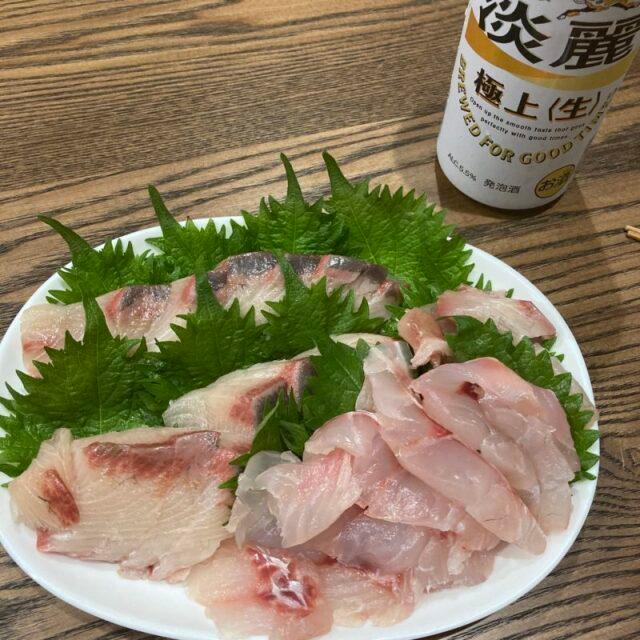 魚用ナイロン袋 グリーンパーチロール ボックス おさかなパックン ブリパック 熟成 仕立て 津本式 血抜き 耐水紙 魚 ナイロン100枚 30mロール【セット販売】 |  | 06