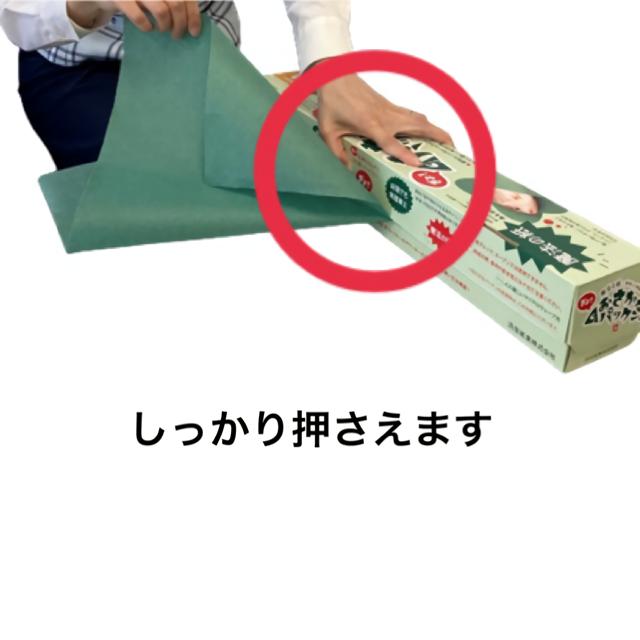 魚用ナイロン袋 グリーンパーチロール ボックス おさかなパックン ブリパック 熟成 仕立て 津本式 血抜き 耐水紙 魚 ナイロン100枚 30mロール【セット販売】 |  | 08