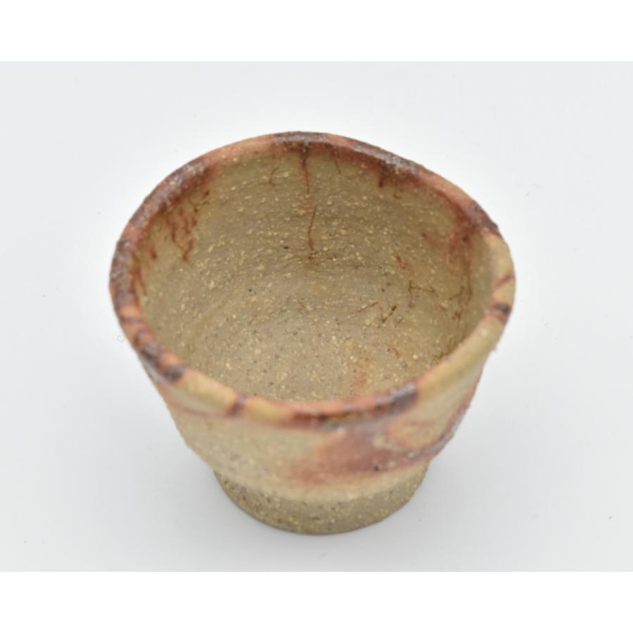 未使用 常滑焼 陶器 頼風堂 常滑焼 ぐい呑み 谷川仁作 item no.2f504 : ハマダヤ食器店 - 通販