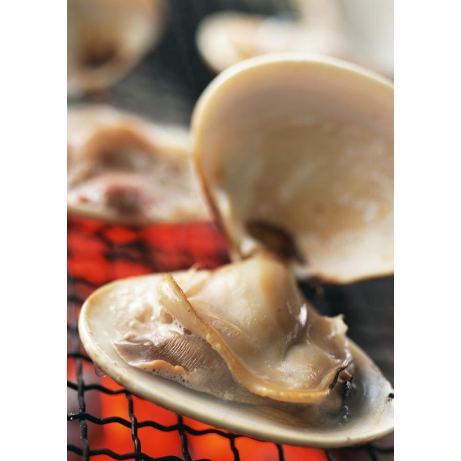 桑名 はまぐり 中サイズ 700g 2人分 約18粒 砂抜き済み 送料無料 国産 約5 5cmの貝 はまぐり お吸い物 焼きハマグリ 丸元水産 お取り寄せ 最高級 ギフト Hamaguri1810 ハマグリの丸元水産 通販 Yahoo ショッピング