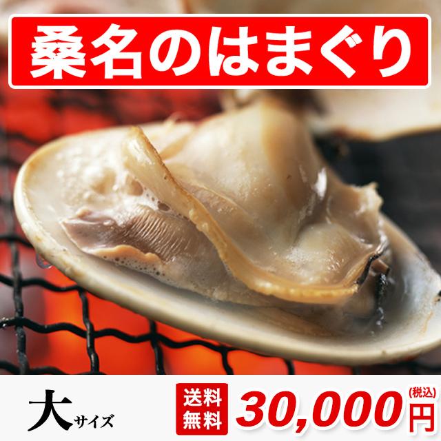 送料無料 桑名のはまぐり 大サイズ 3300g 砂抜き済み 送料無料 国産 はまぐり 約7cmの貝 約50粒 焼きハマグリ お食い初め はまぐり丸元水産 お取り寄せ お祝い ギフト 新規購入 Kuljic Com