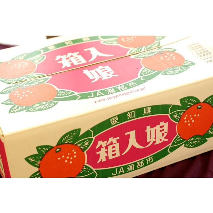 箱入娘みかん販売　愛知県蒲郡産 お歳暮みかん通販でお取り寄せ　糖度12度以上 5ｋｇ　2Ｓ〜2Ｌ_2