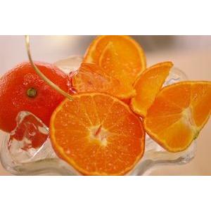 金時紅みかん通信販売 お歳暮香川県みかんに。小原紅早生は果皮・果肉