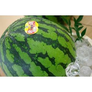 yuyuta様　8個まとめ売り Amazon.co.jp: 台湾限定 ぐでたま 辰年シリーズ 大吉大利 悠遊カード