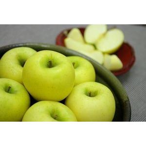 シナノゴールドりんご取寄販売 爽やかな酸味が特徴のシナノりんごを通販で。約5ｋｇ 約14玉〜約18玉 山形・長野・他産地｜hamanakayalive｜02