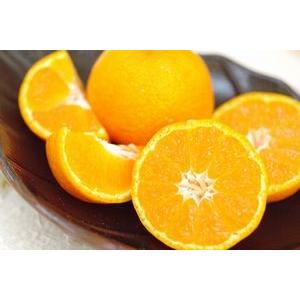 ふるーつ物語みかん通信販売 香川県マル曽の越冬みかん通販 約6ｋｇ 約60玉〜約100玉入 第一回全国環境保全型農業推進コンクール奨励賞授賞 ふるーつ物語みかん通信販売 香川県マル曽の越冬みかん通販 約6ｋｇ 約60玉 約100玉入 第一回全国環境保全型農業推進コンクール奨励賞授賞