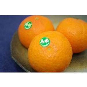 美娘みこ通販 お歳暮ギフトに大分県杵築産天草オレンジを販売取寄
