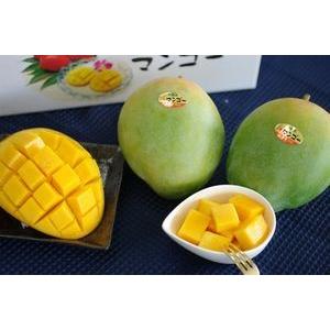 キーツマンゴー通販 幻のグリーンマンゴーを販売取寄。大玉1玉 約500g 