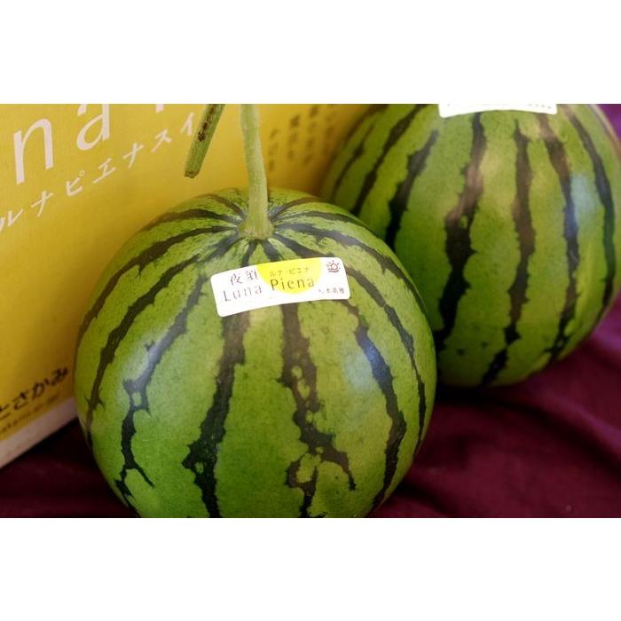 ルナピエナすいか販売 通販で高知県土佐香美Luna Piena西瓜のお