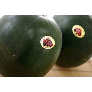 ほぼ種なし西瓜通信販売 ブラックジャックスイカの販売。皮が黒色で果肉は赤色。お中元に 千葉・他産地 2玉