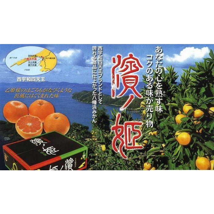 濱の姫みかん 西宇和四天王ブランド お歳暮愛媛みかんに 糖度13度以上