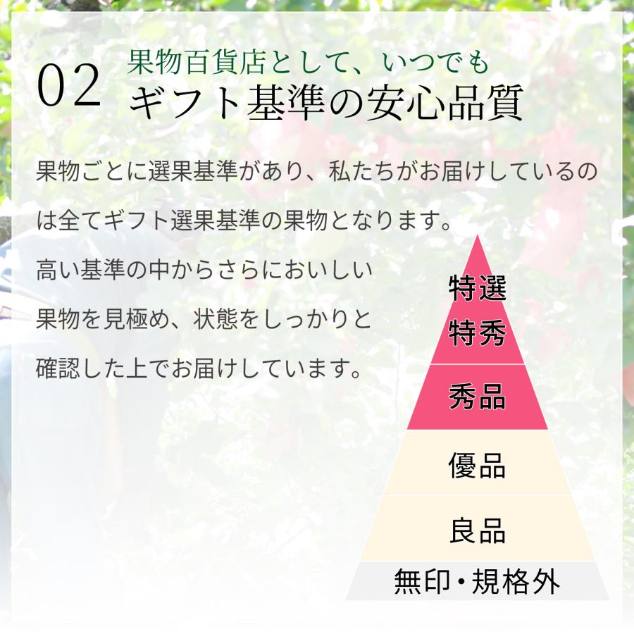 専用2箱 味好鳥' 袋掛けみかん '中サイズ JAながさき県央 長崎みかん「味好鳥」4kg 12月上旬発送開始 | 全農食品オンラインショップ