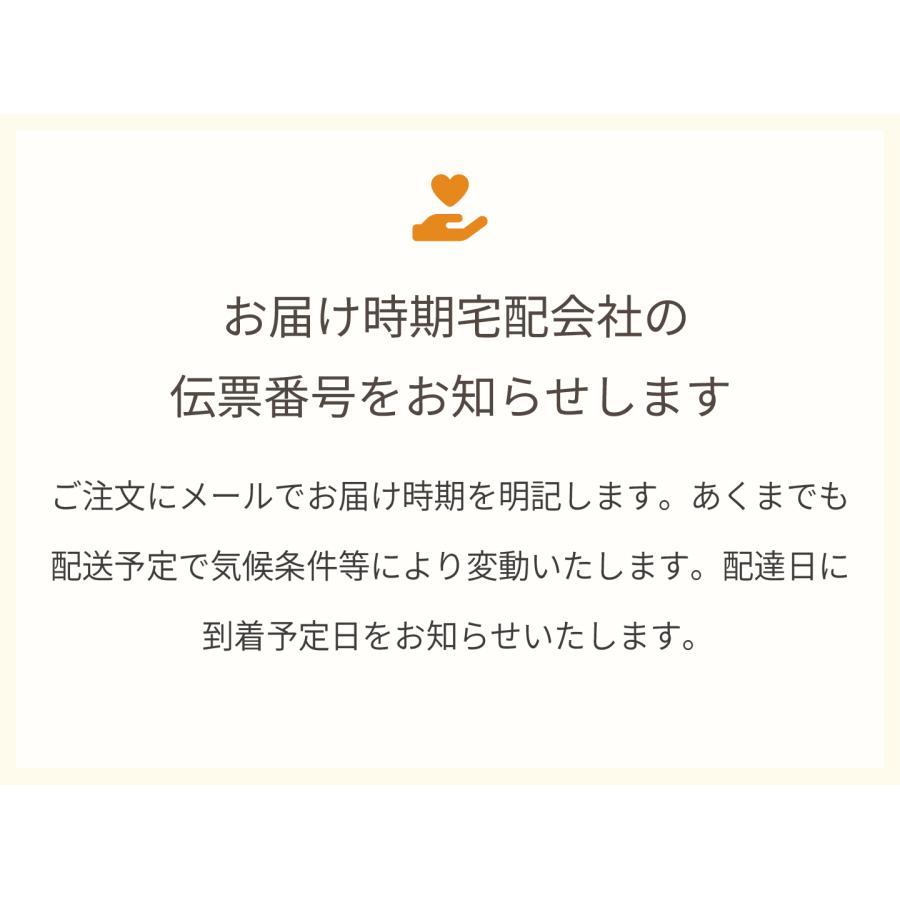 味好鳥みかん（あじこうちょう）通販 お歳暮長崎県諫早産蜜柑 袋入 約