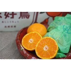 味好鳥みかん（あじこうちょう）通販 お歳暮長崎県諫早産蜜柑 袋入 約