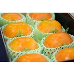 次郎柿 じろうがき 通販 静岡県浜北の甘柿治郎柿を販売取寄 小箱 約8玉 r3f 果物百貨店 浜中屋 通販 Yahoo ショッピング