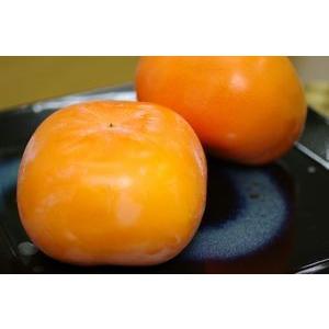 次郎柿 じろうがき 通販 静岡県浜北の甘柿治郎柿を販売取寄 小箱 約8玉 r3f 果物百貨店 浜中屋 通販 Yahoo ショッピング
