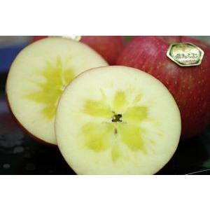 飛馬（ひうま）ふじりんご通販 青森県弘前市相馬村産の糖度14度お歳暮