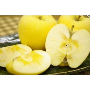 冬恋はるかりんご通信販売 岩手県お歳暮りんご糖度15度以上を販売取寄 約7玉 約9玉 f54 果物百貨店 浜中屋 通販 Yahoo ショッピング