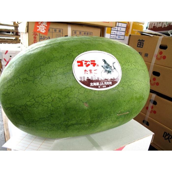 ゴジラのたまご西瓜販売 北海道月形町大玉スイカを通販で取寄。化粧箱