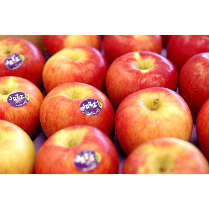 JAZZりんご販売 ニュージーランド産ジャズ林檎を通販で取寄。約3k 約