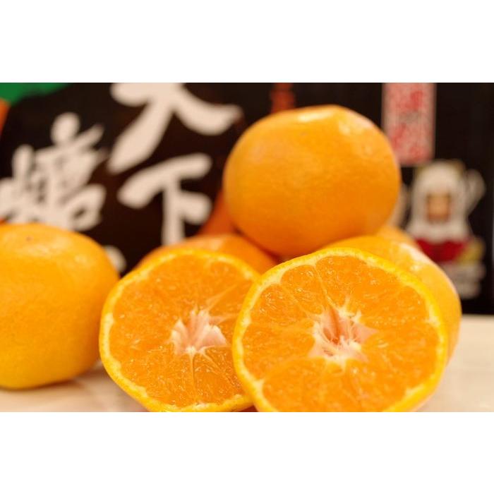 天下糖一みかん てんかとういつ蜜柑JAとぴあ浜松 静岡県 糖度12度