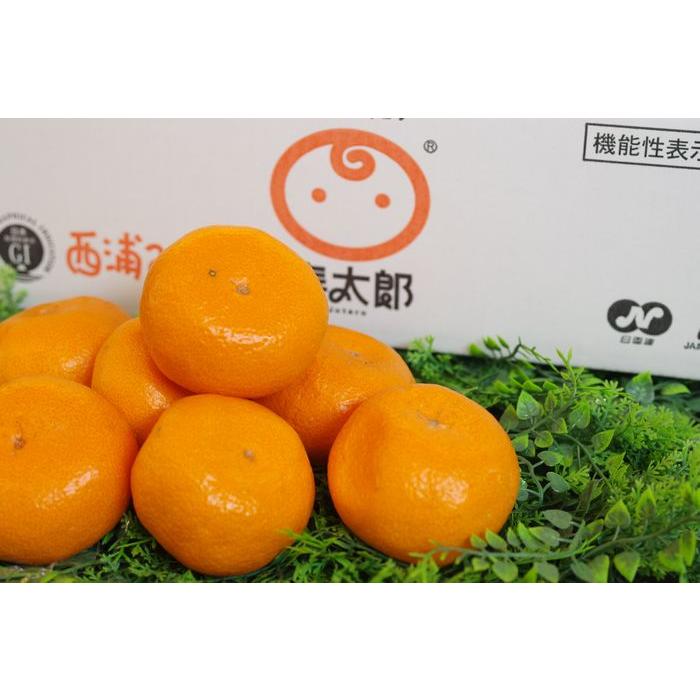 寿太郎（じゅたろう）みかん通販 JAなんすん西浦みかんを販売取寄