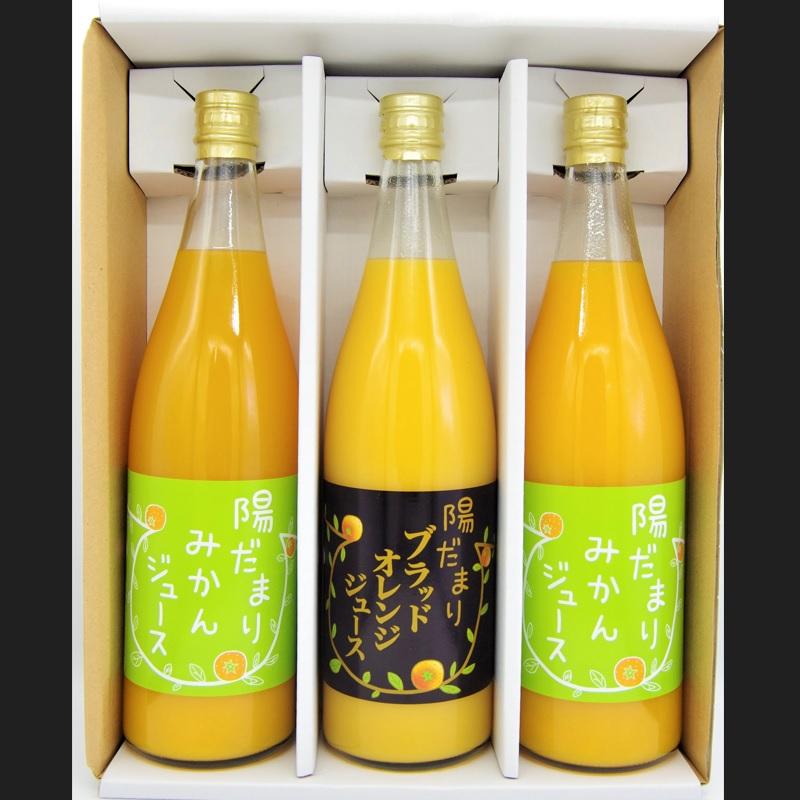 送料無料　三ケ日青島みかん100％ジュース　720ml×2本+三ケ日ブラッドみかん100％ジュース　720ml×1本　計3本｜hamanakosangyo｜02