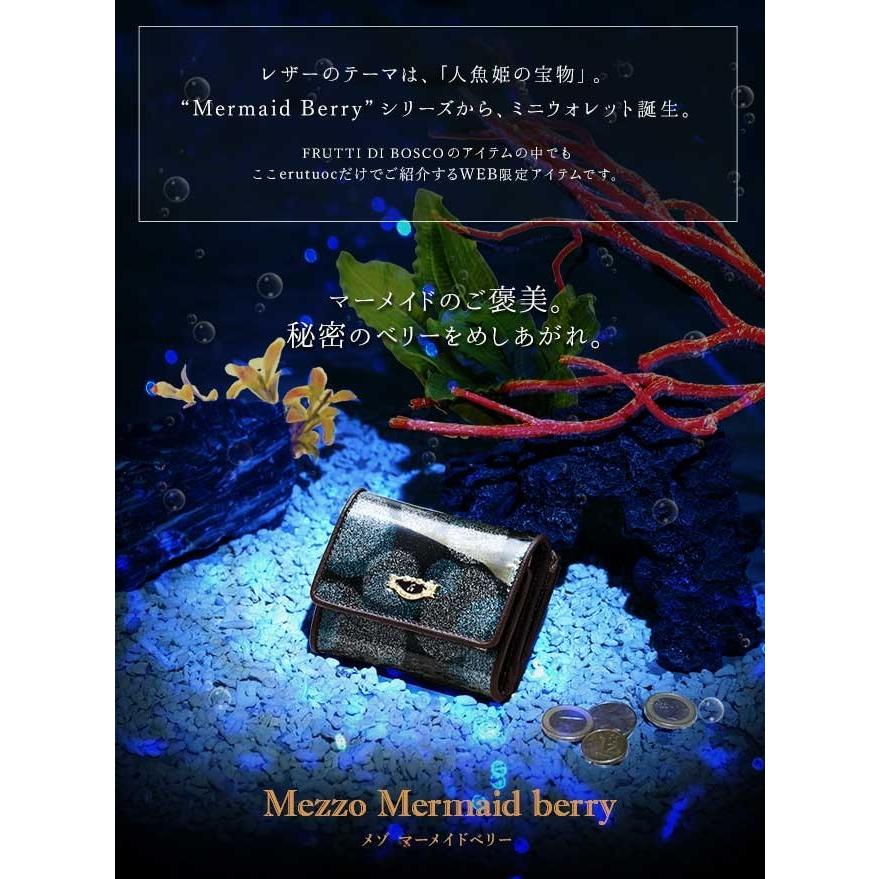 FRUTTI DI BOSCO（フルッティディボスコ） 【FRUTTI】Mezzo Meramid