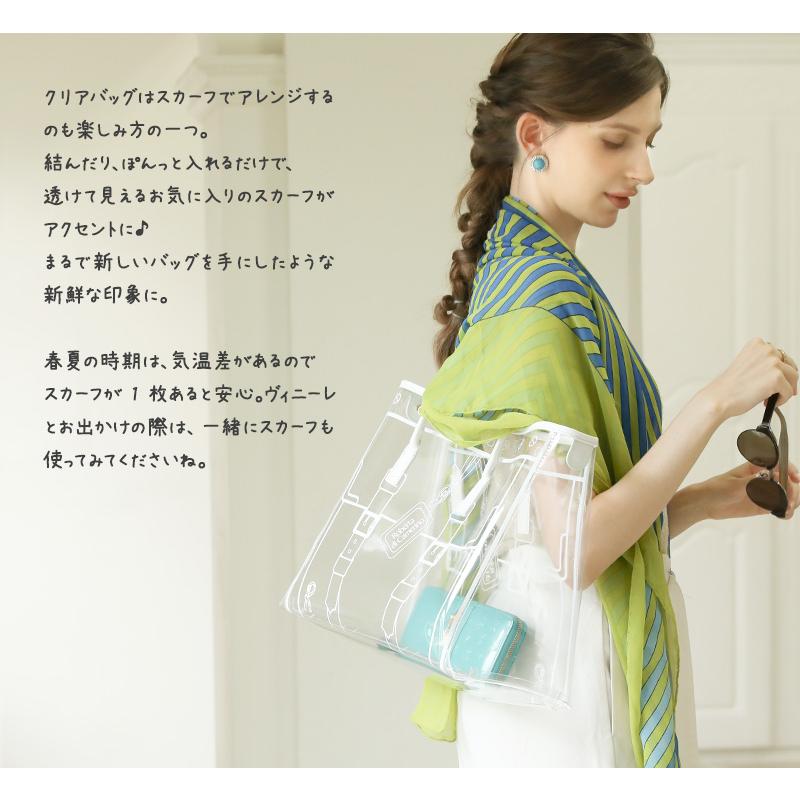美品　ロベルタディカメリーノ　ハンドバッグ　箱・保存袋付き ROBERTA DI CAMERINO（ロベルタ・ディ・カメリーノ） 【ロベルタ】透明