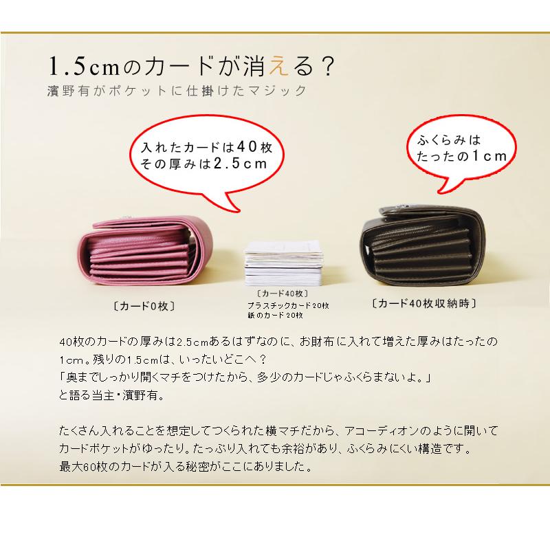 【傳濱野】カードがたっぷり入る二つ折財布Litolo(リトロ)　レディースウォレット　濱野 財布 本革 限定 二つ折り WEB限定 denhamano デンハマノ 濱野財布 | 傳濱野 | 16