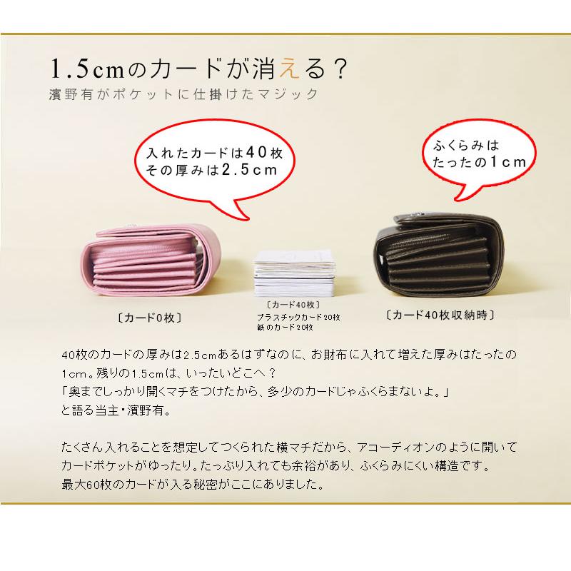 傳濱野 【傳濱野】カードがたっぷり入る二つ折財布Litolo(リトロ