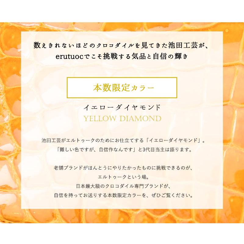 池田工芸】一生ものの輝き。クロコダイルの美しさを贅沢に味わう、定番