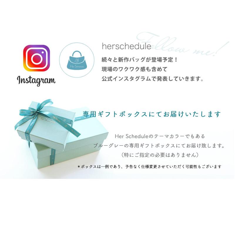 HerSchedule（ハースケジュール） 【HerSchedule】チェレット 虹色の雲