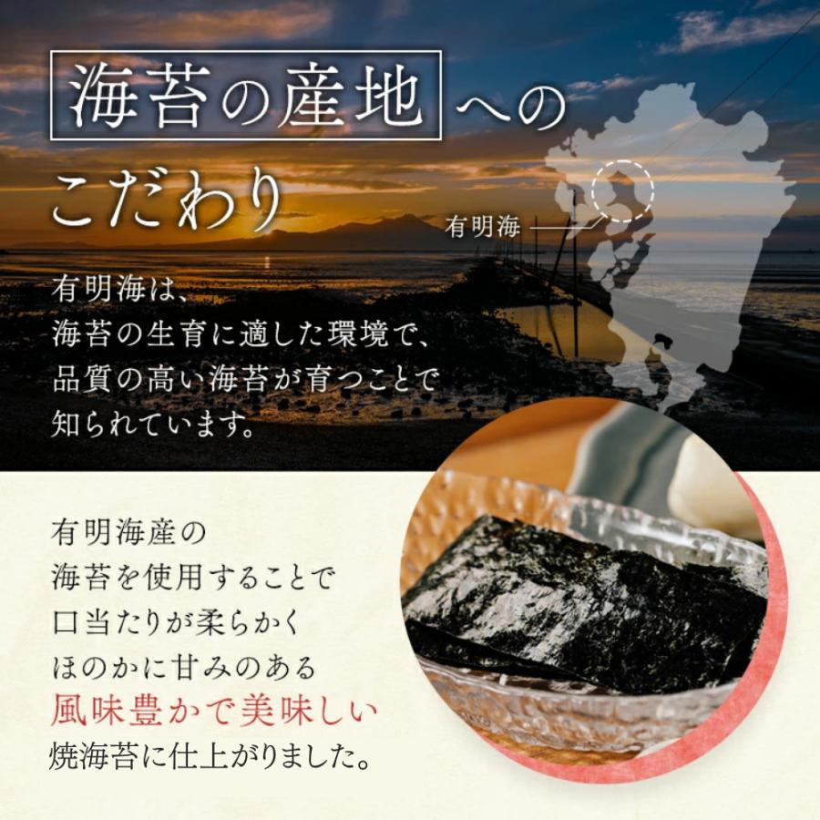 浜乙女 海苔 焼き海苔 全型100枚 焼のり有明海産文庫10枚(10袋セット