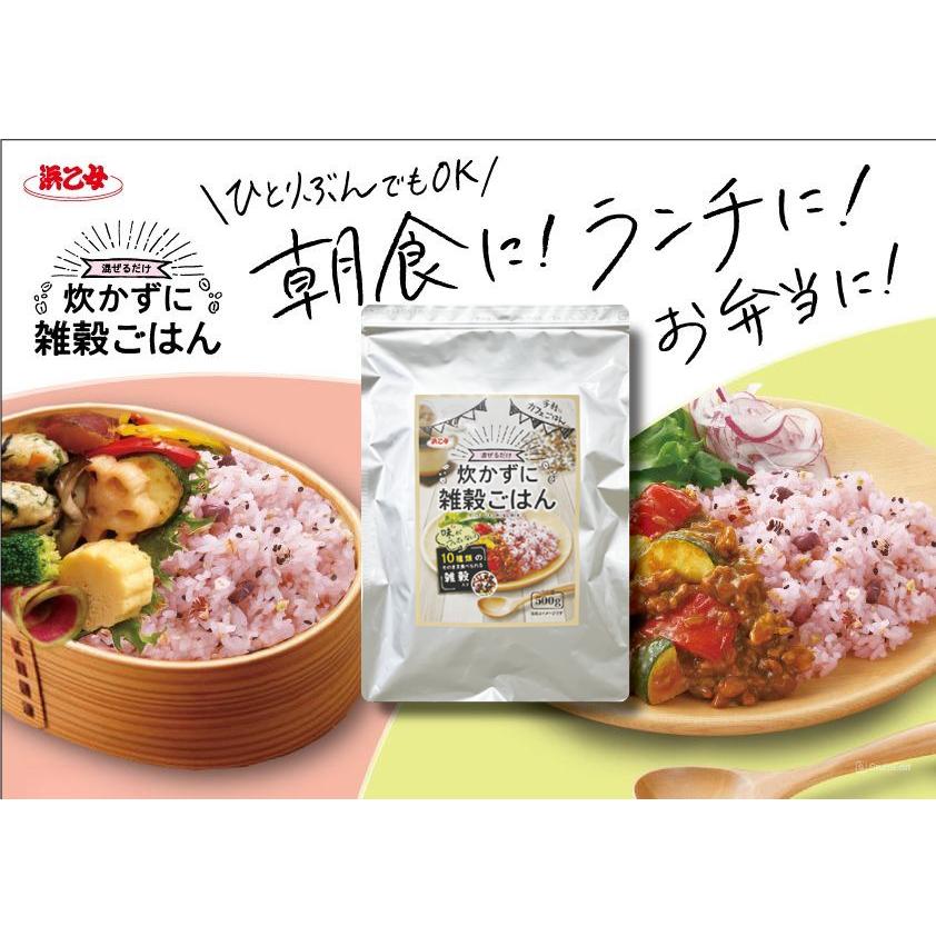浜乙女 雑穀 業務用 送料無料 500g 炊いたご飯に混ぜるだけ 炊かずに