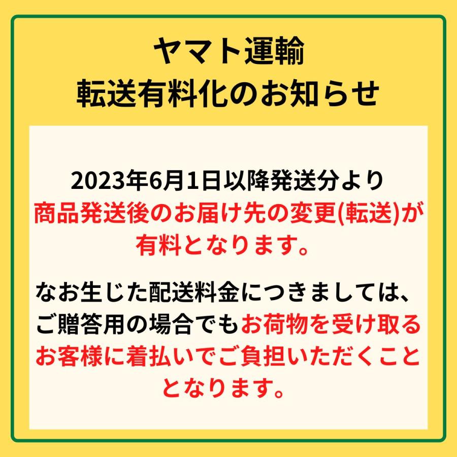 ふりかけ 薬味 送料無料 麺用 悪魔やくみ 20g(1袋) メール便｜hamaotome｜04