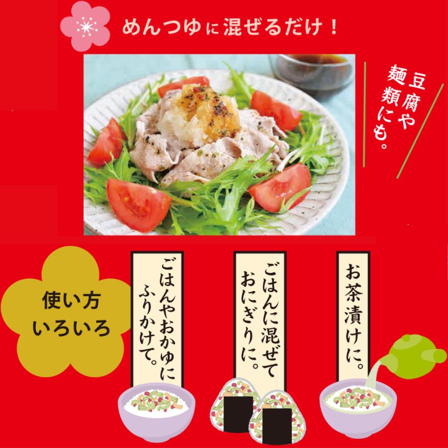 3個以上で送料無料 ポイント利用 ふりかけ ソフト食感 お粥 お茶漬け 吸物 うどん うめこんぶふりかけ 20gメール便対応 | 浜乙女 | 03
