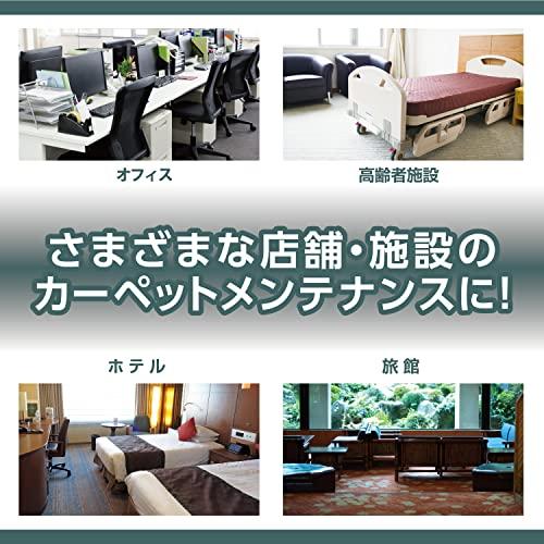 リンレイ RCCカーペット防汚剤 4L 春夏新色 www.lsansimon.com