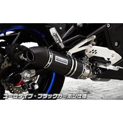 Ninja400R（ニンジャ）EBL-ER400B ダイナミックマフラー ブラックカーボン仕様 ユーロタイプ スリップオン ウイルズウィン（WirusWin）_1