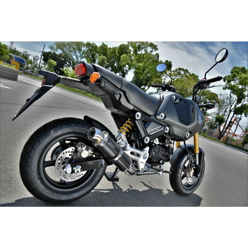 R-EVO カーボンサイレンサー フルエキゾーストマフラー 政府認証 BMS-R