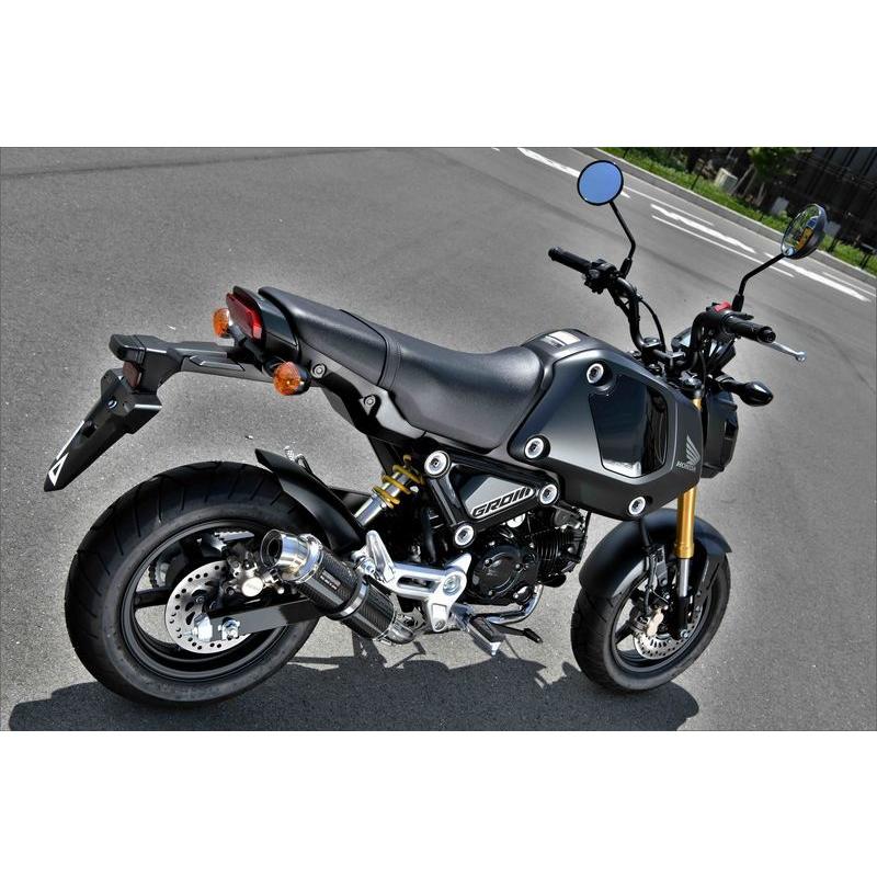 R-EVO カーボンサイレンサー フルエキゾーストマフラー 政府認証 BMS-R