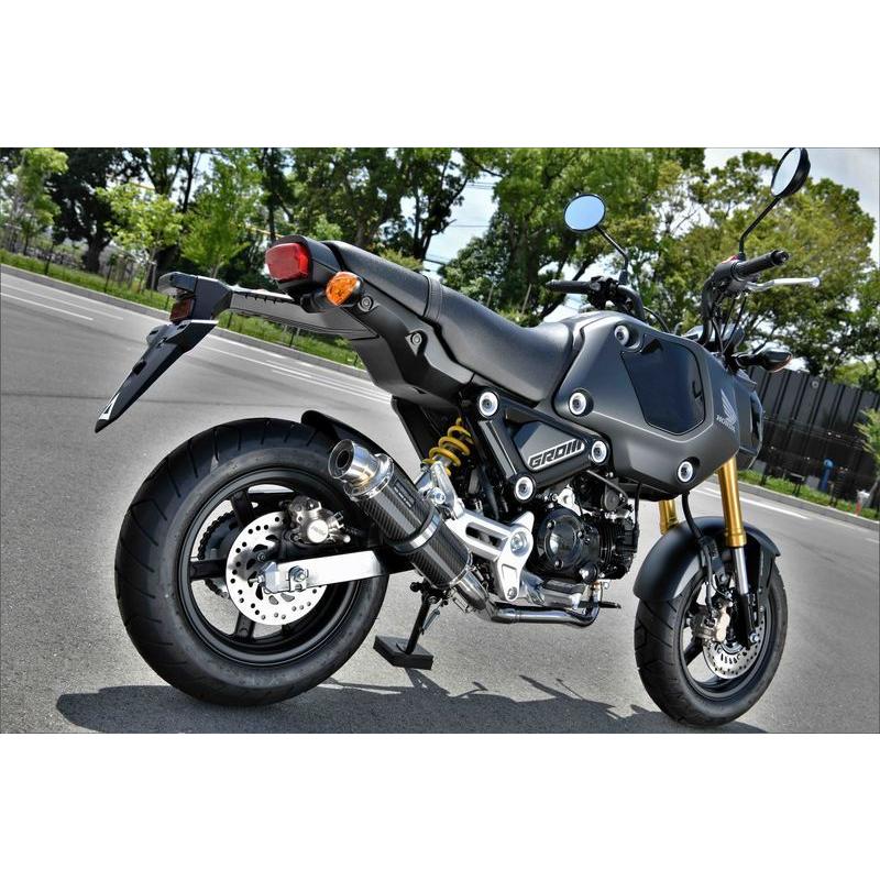 R-EVO カーボンサイレンサー フルエキゾーストマフラー 政府認証 BMS-R