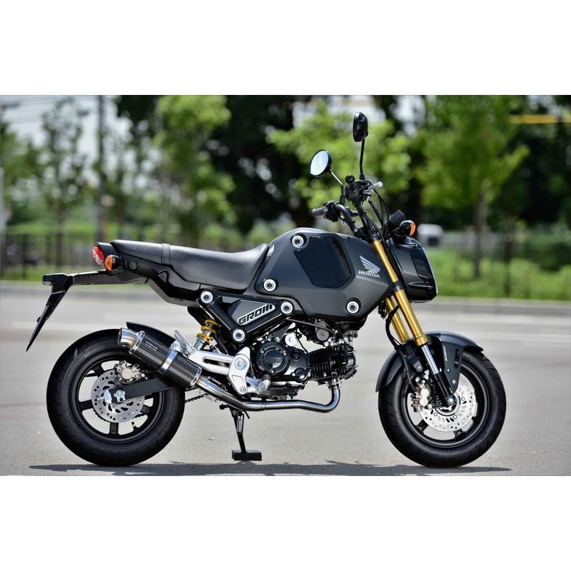 R-EVO カーボンサイレンサー フルエキゾーストマフラー 政府認証 BMS-R