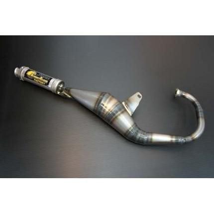 チャンプ（CHAMP）/RS パラライザー3チャンバー chameleon（カメレオン