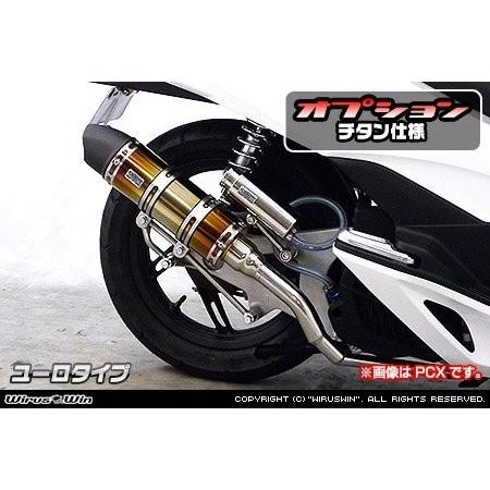 ロイヤルマフラー ユーロタイプ チタン仕様 ウイルズウィン（WirusWin