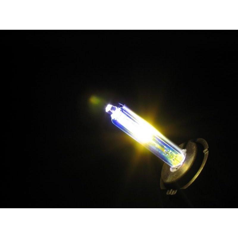 HID リペアバルブ ロータイプ（H4/3100K）  Absolute（アブソリュート）