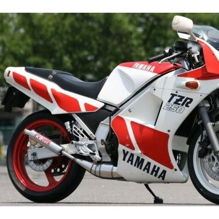 TZR250 1KT 2XT K2-TECチャンバー 31m3im0FrKL._AC_SY200_QL15_.jpg